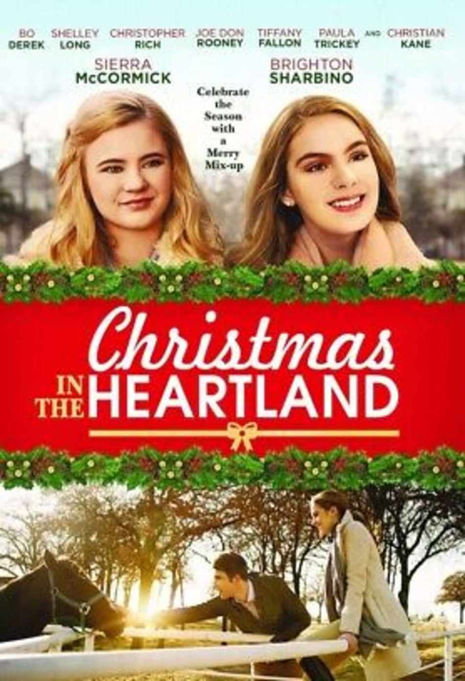 Christmas In The Heartland - (Dolby, AC-3) - [Blu-ray]