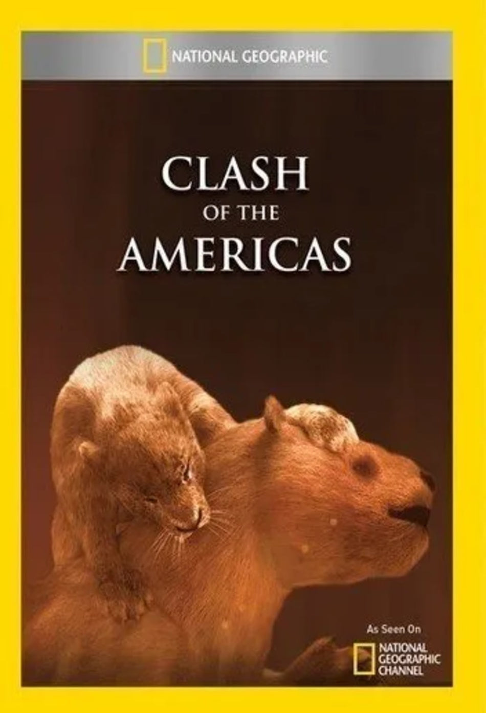 Clash of the Americas - (NTSC Format) - [DVD]