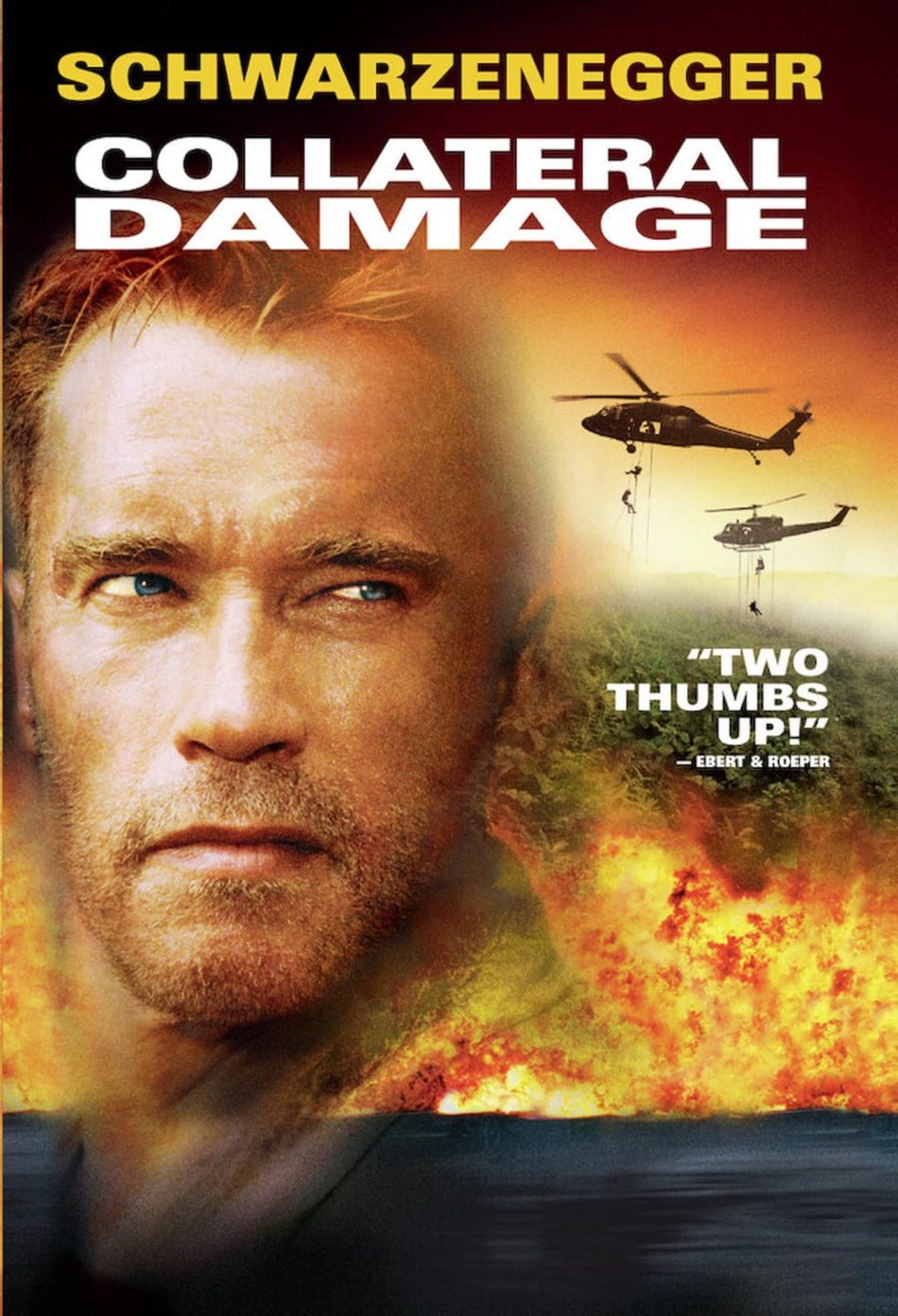 Collateral Damage - [DVD]