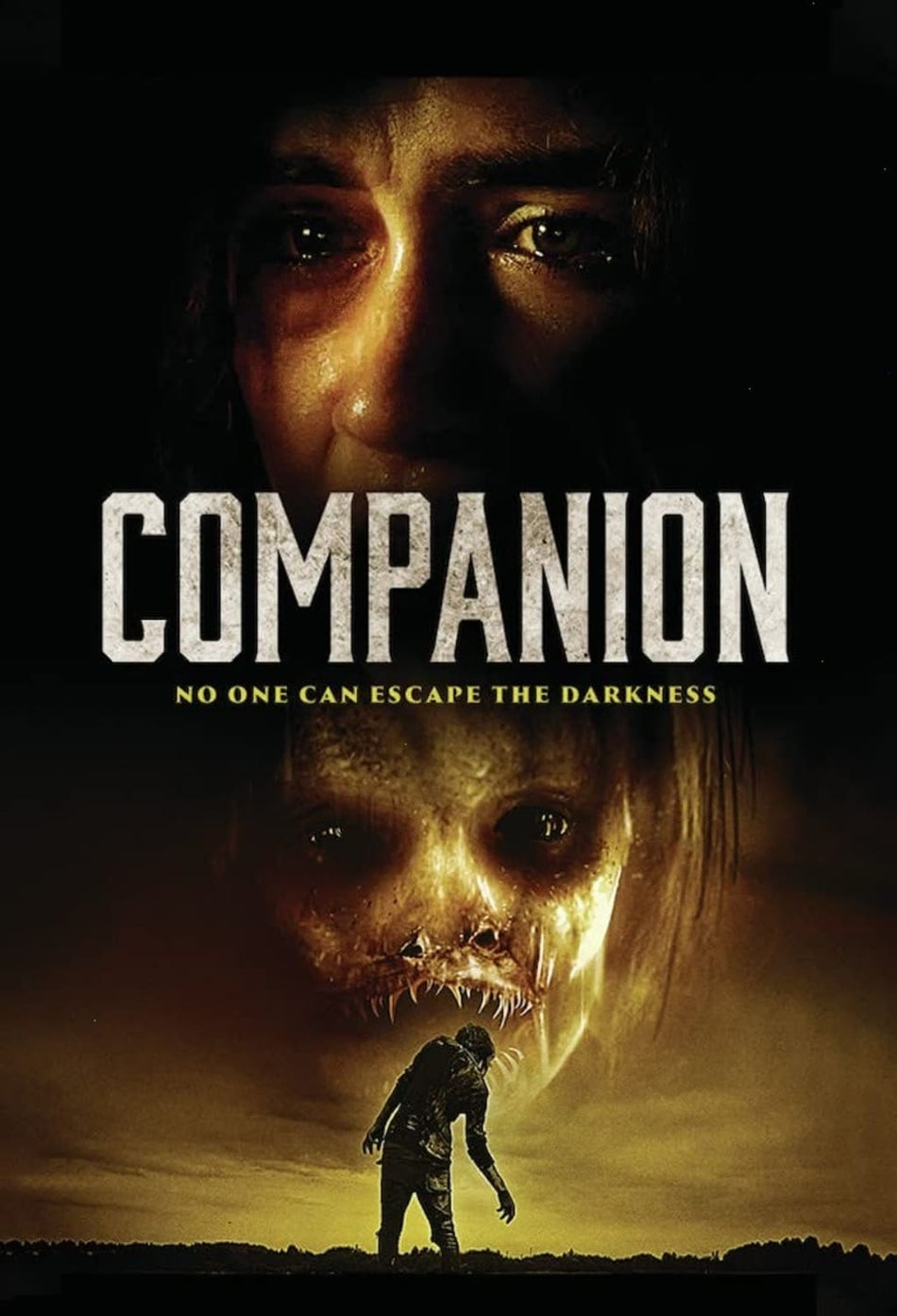 Companion - (Dolby, AC-3) - [DVD]