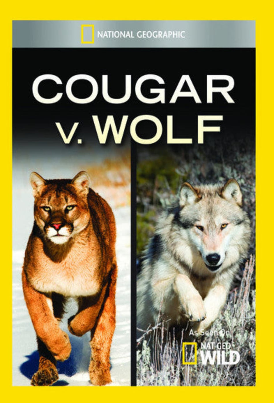 Cougar V Wolf - (NTSC Format) - [DVD]