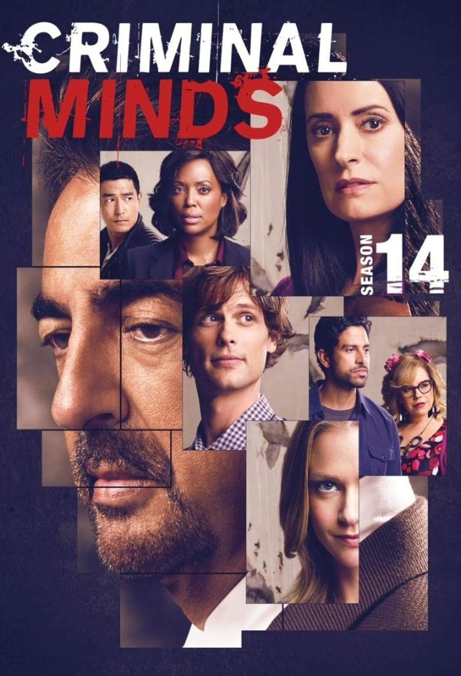 Criminal Minds: Season 14 - Box Set - [DVD]