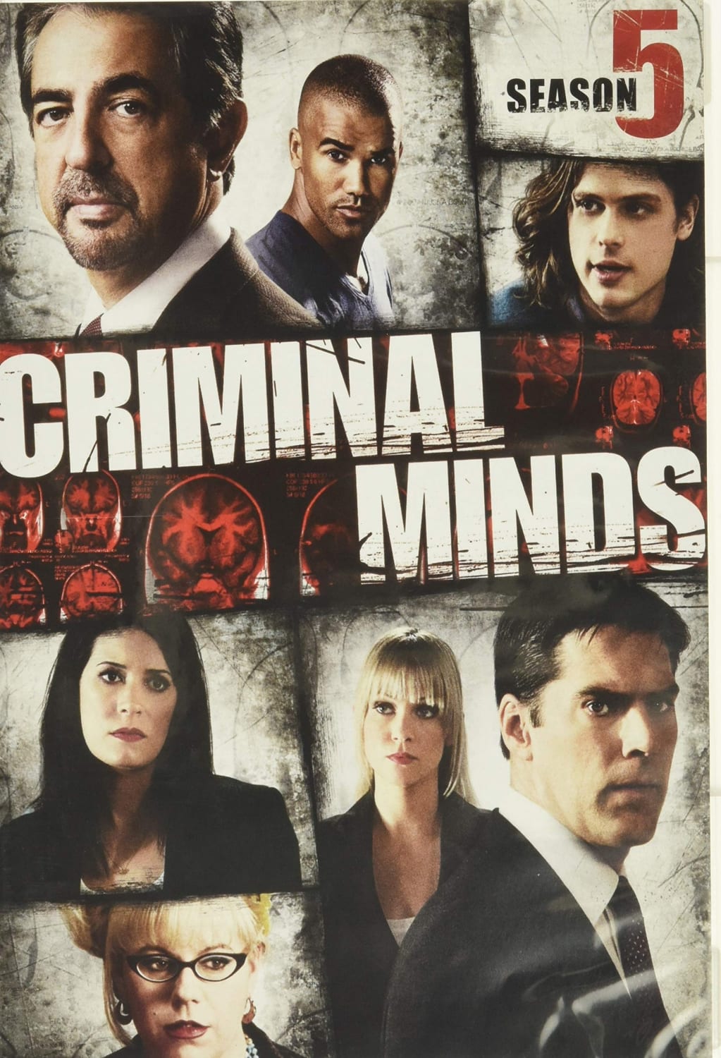 Criminal Minds: Season 5 - [DVD]