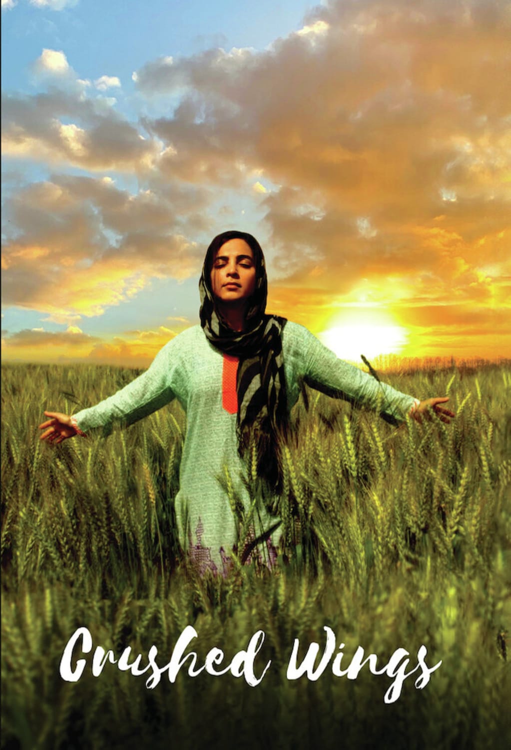 Crushed Wings - [DVD]