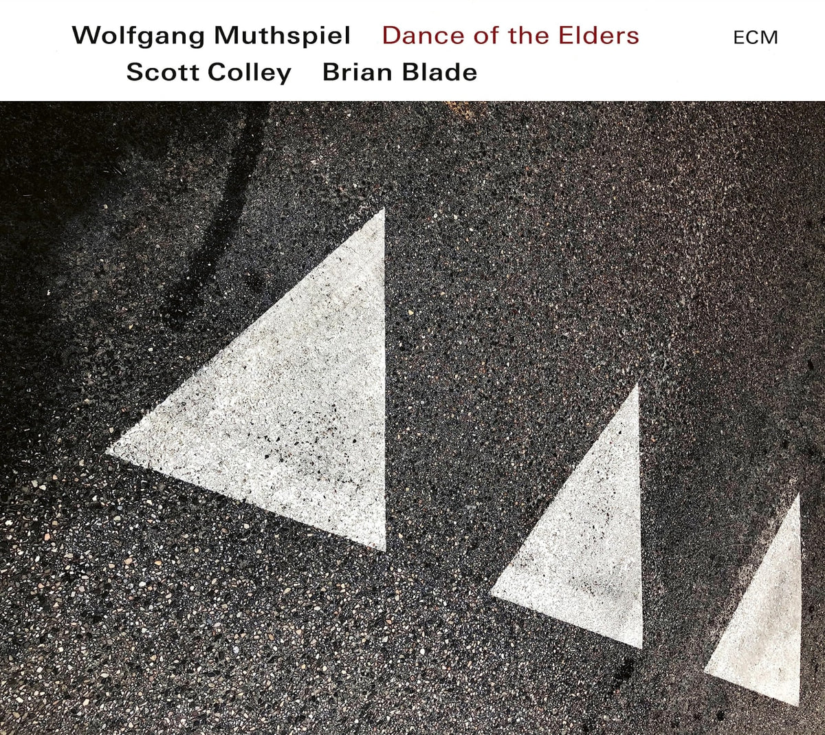 WOLFGANG MUTHSPIEL / SCOTT COLLEY / BRIAN BLADE - Dance Of The Elders - [CD]