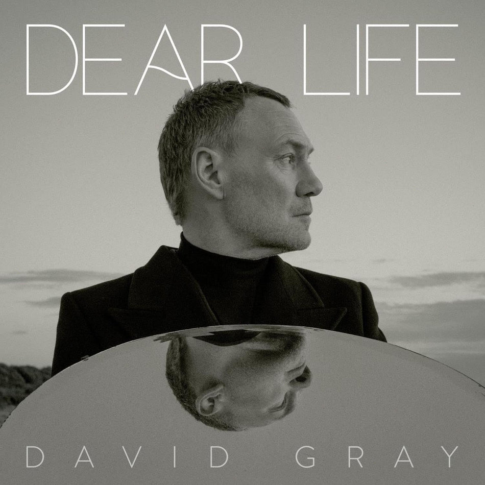 David Gray - Dear Life - [Vinyl]