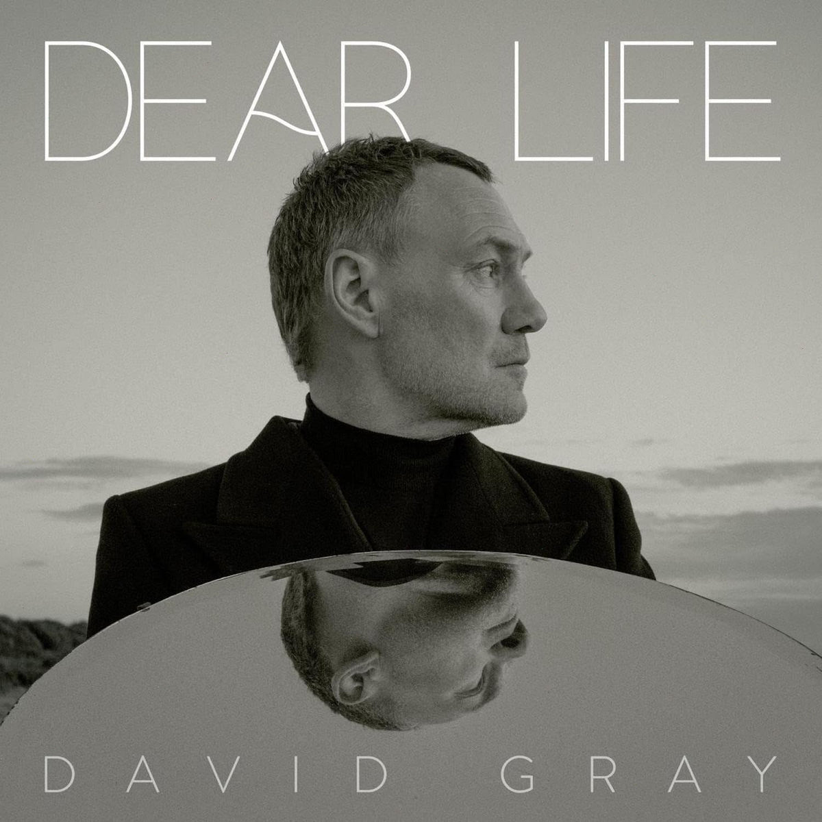 David Gray - Dear Life - [Vinyl]