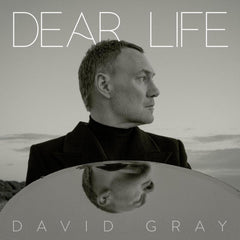David Gray - Dear Life - [Vinyl]