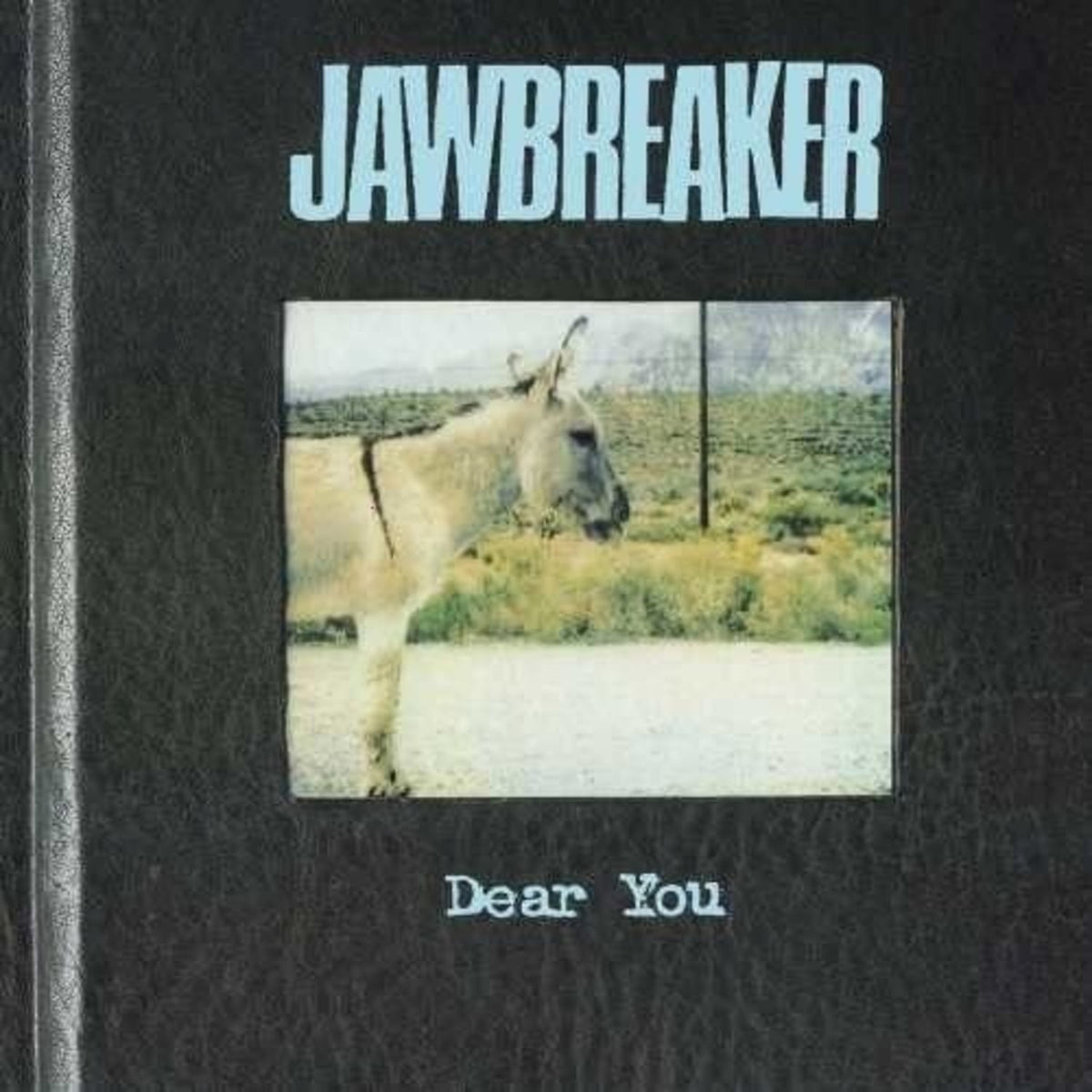 Jawbreaker - Dear You - [Vinyl]