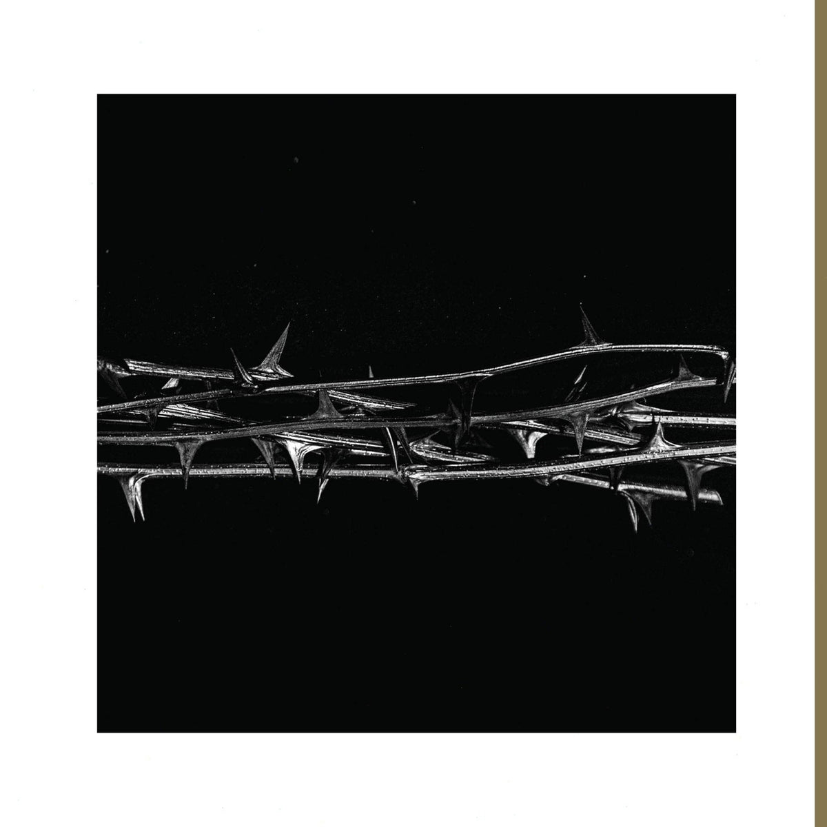 Amenra - De Doorn - (Gold) - [Vinyl]