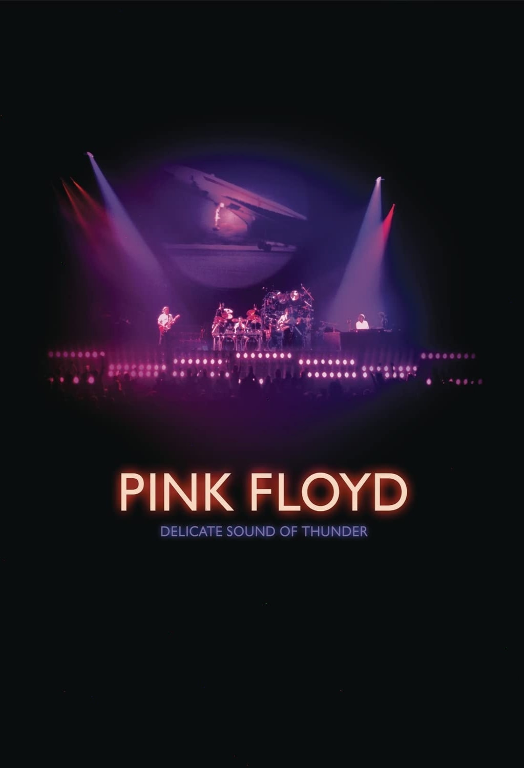 Pink Floyd: Delicate Sound of Thunder - (Digipack Packaging, O-Card Packaging) - [DVD]
