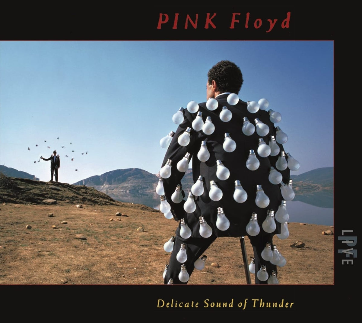 Pink Floyd - Delicate Sound Of Thunder (Live) - (Digipack Packaging) - [CD]