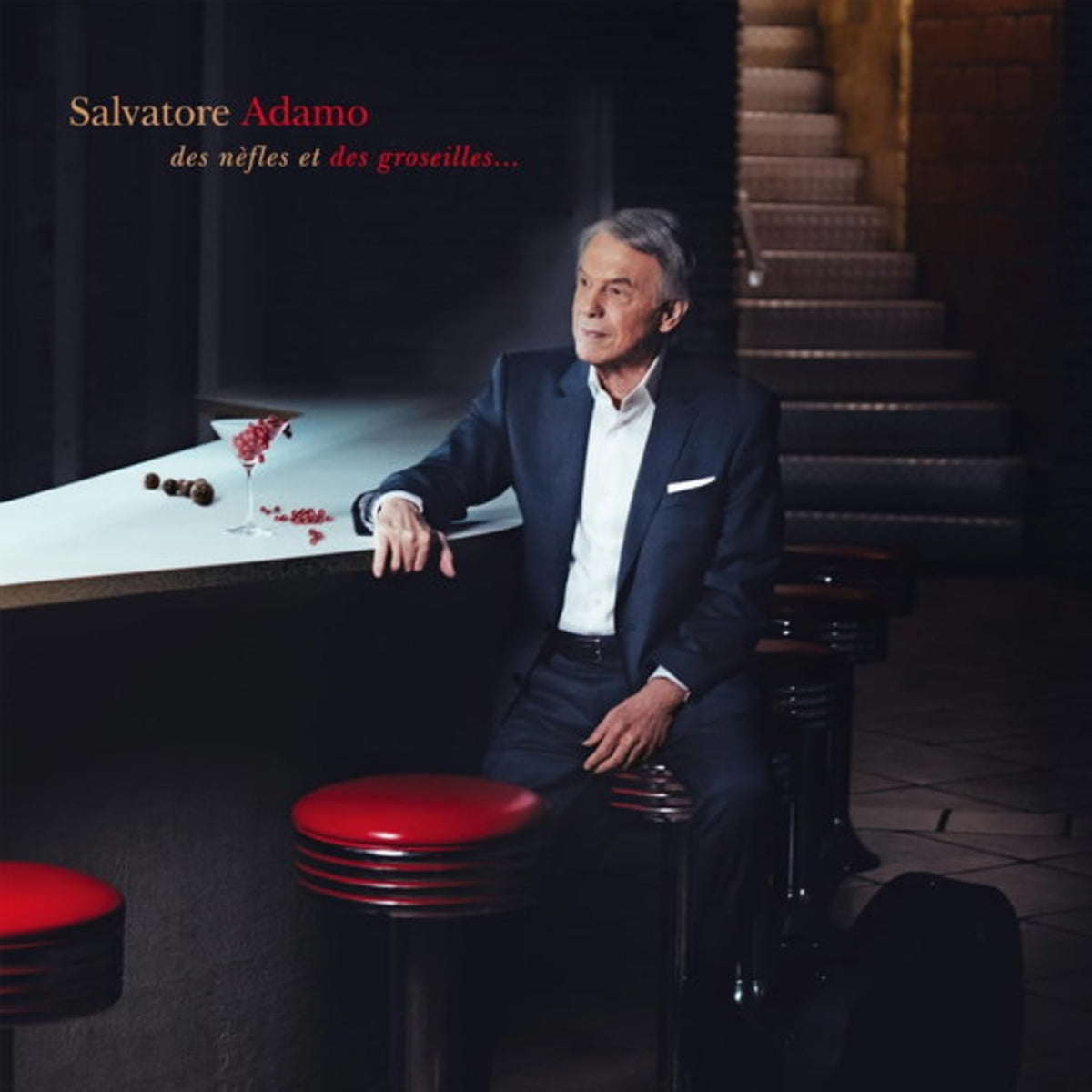 Salvatore Adamo - Des nefles et des groseilles... - [Vinyl]
