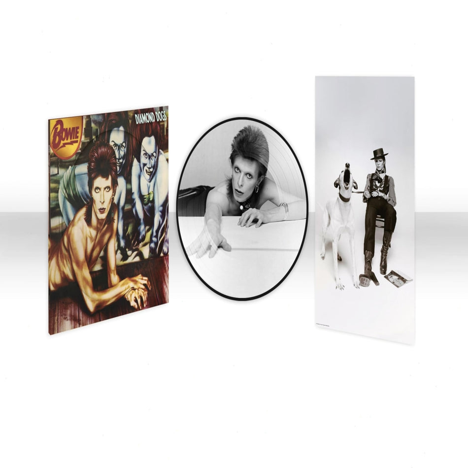 David Bowie - Diamond Dogs (50th Anniversary Picture Disc) - (Picture Disc Vinyl, Anniversary Edition) - [Vinyl]