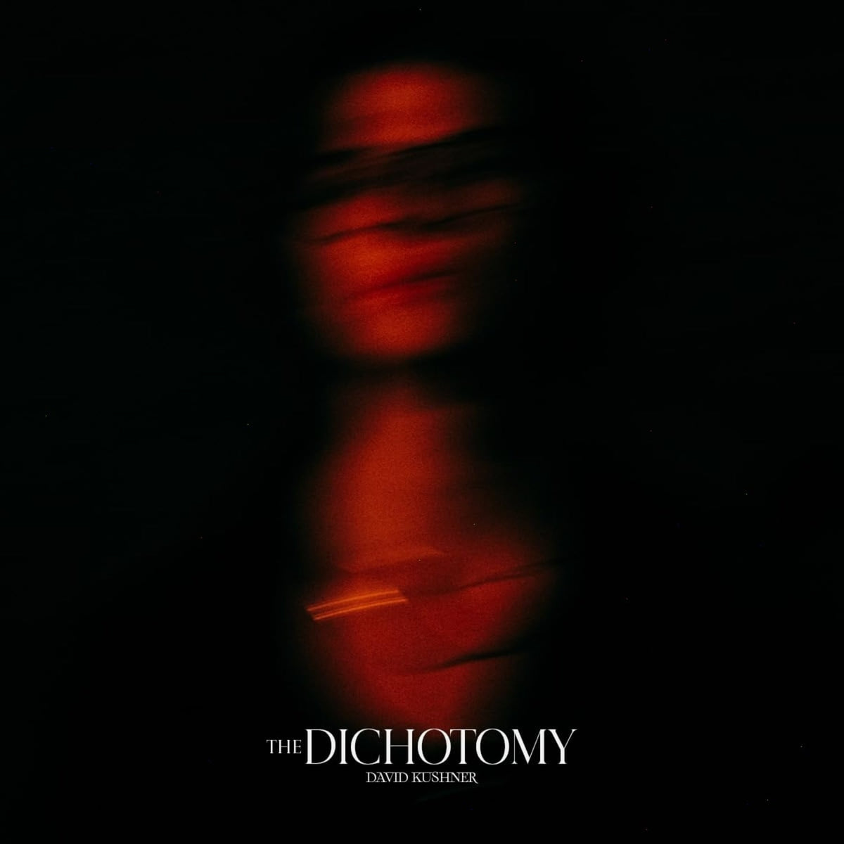 David Kushner - The Dichotomy - [Vinyl]