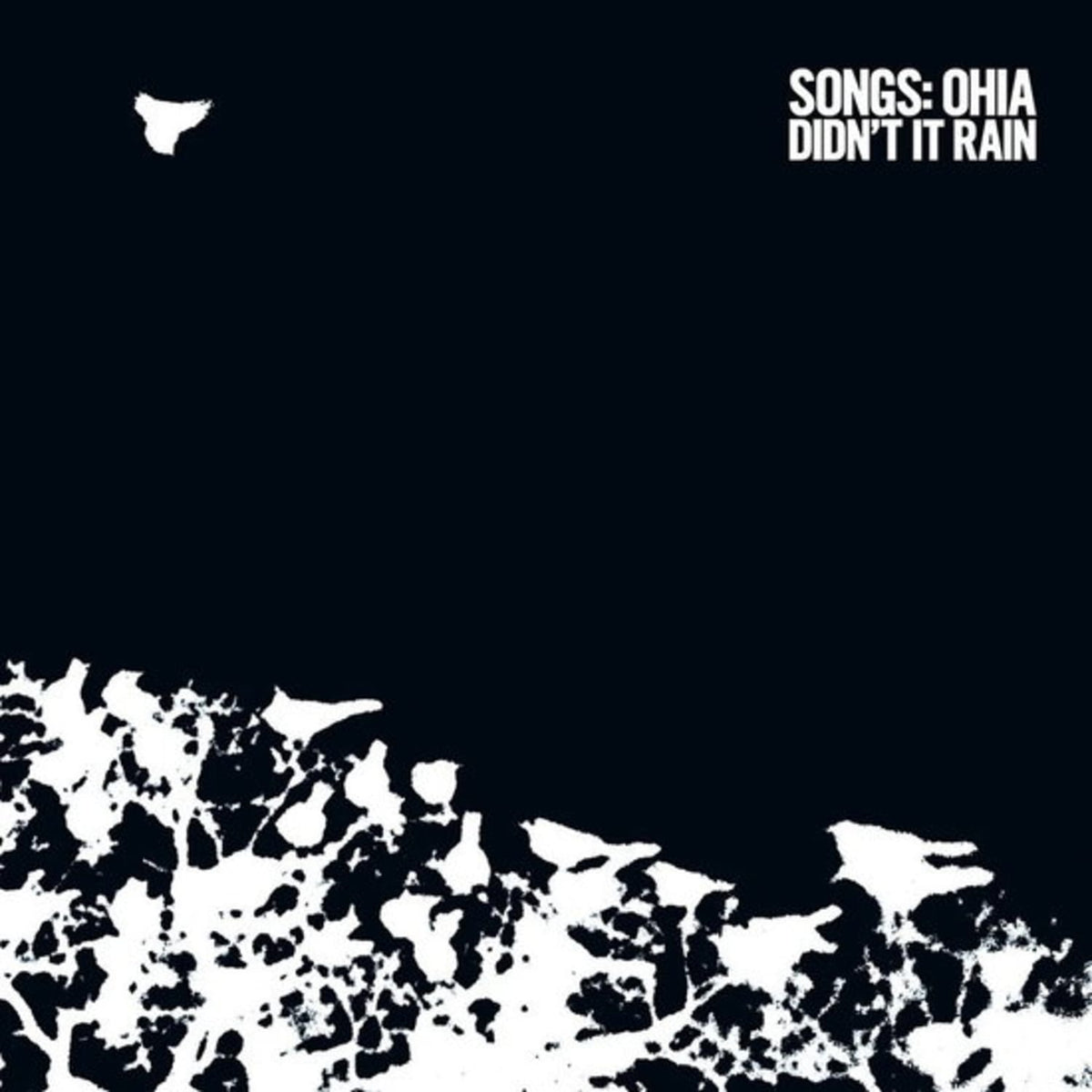 Songs: Ohia - Didn't It Rain (2lp-revinyl Edition-random Coloured ) - [Vinyl]