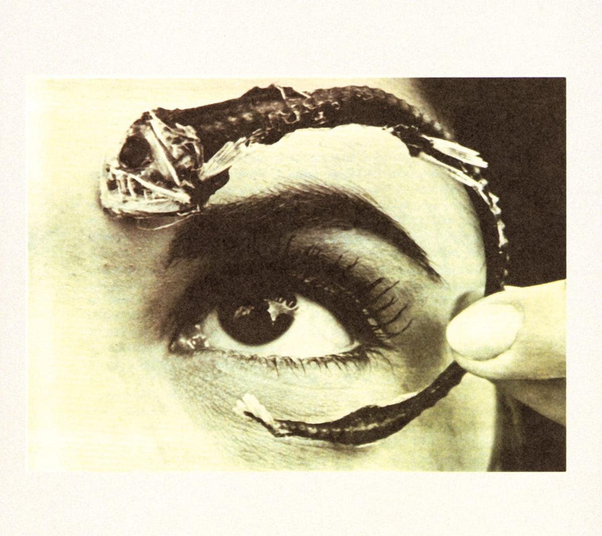 Mr. Bungle - DISCO VOLANTE - [CD]