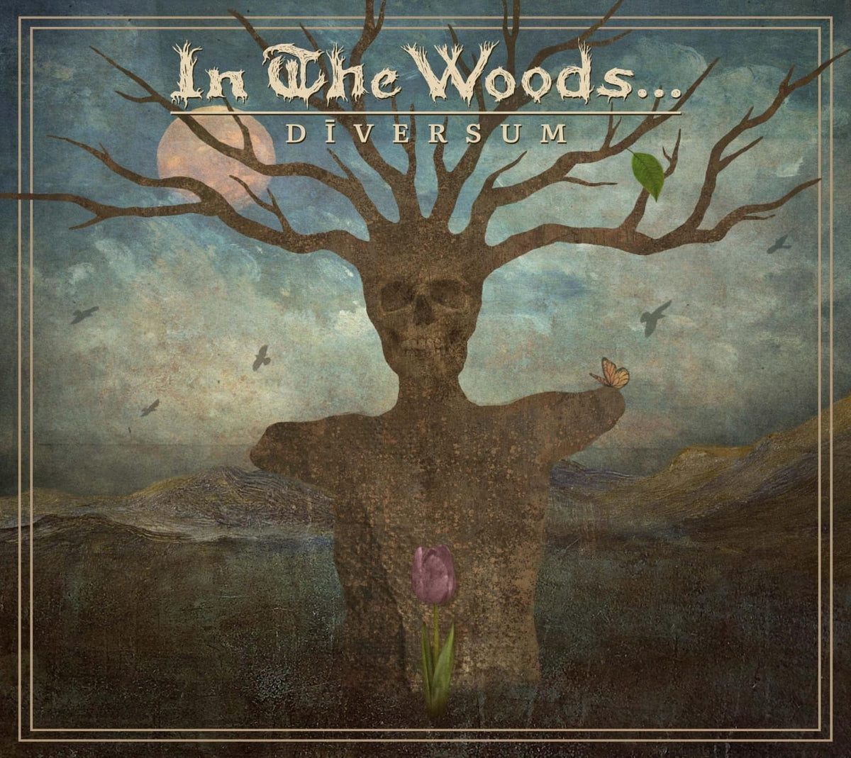 In the Woods... - DIVERSUM - [CD]