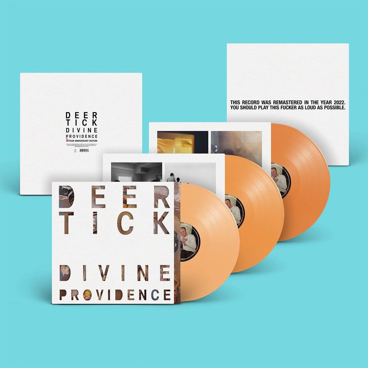 Deer Tick - Divine Providence - (Deluxe Edition, Booklet, Anniversary Edition) - [Vinyl]