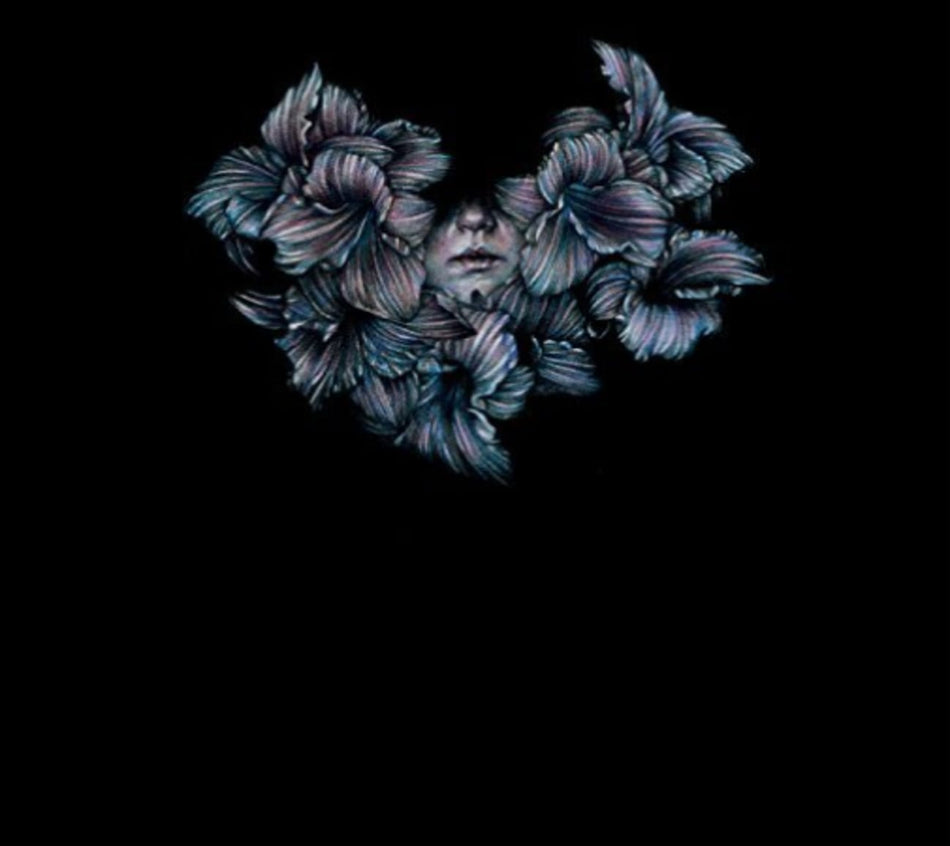 A Lot Like Birds - Divisi - (Digipack Packaging) - [CD]