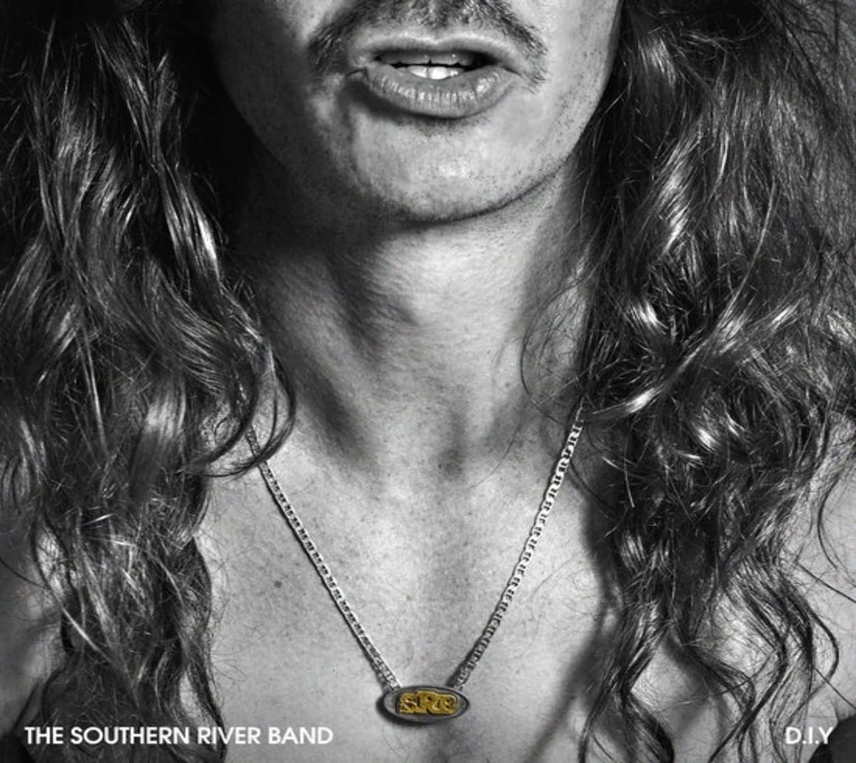 Southern River Band - Diy - [CD]