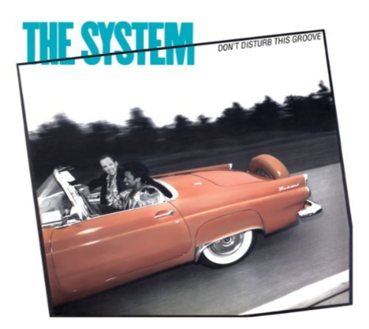 The System - Don't Disturb This Groove - [CD]