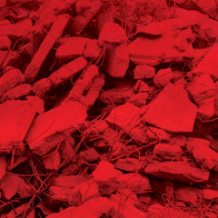 Jam City - Dream A Garden - [Vinyl]