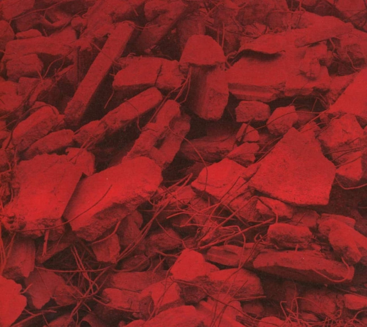 Jam City - Dream A Garden - [CD]