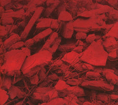 Jam City - Dream A Garden - [CD]