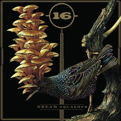 16 - Dream Squasher - [Vinyl]