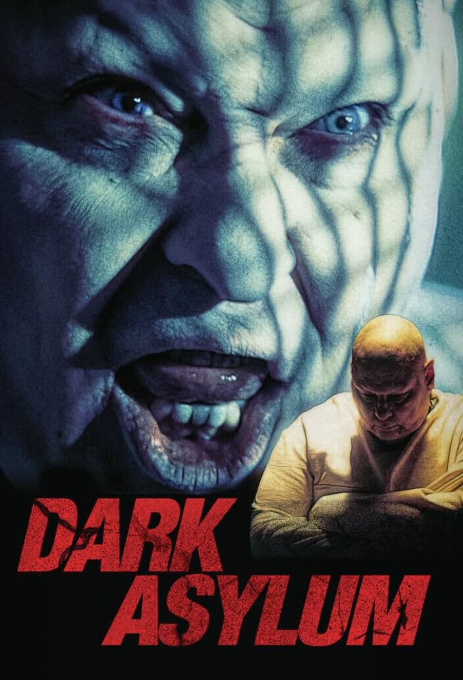 Dark Asylum - [DVD]