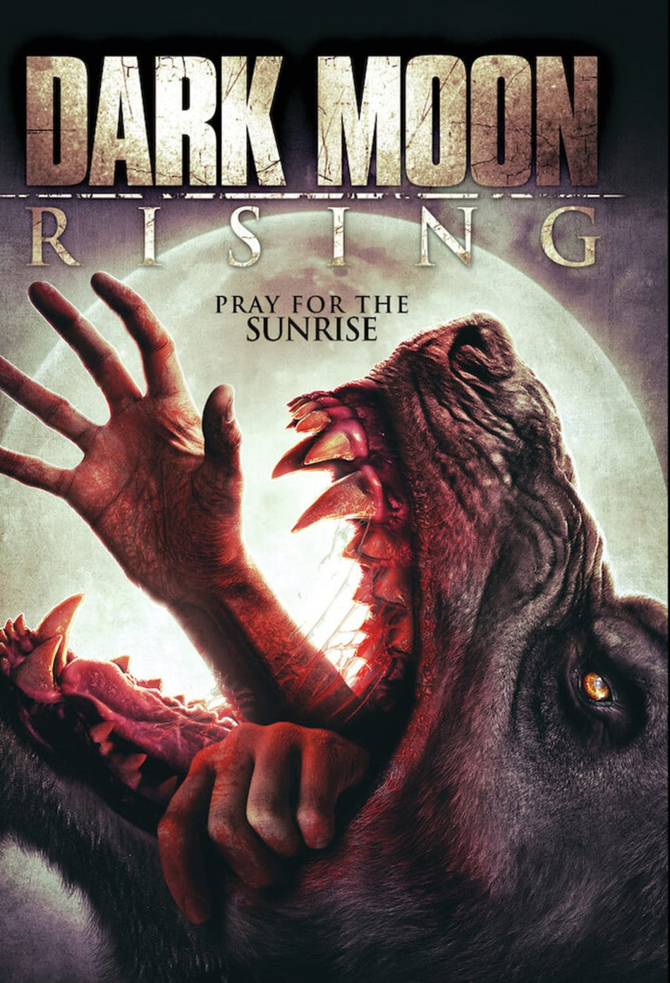 Dark Moon Rising - [DVD]