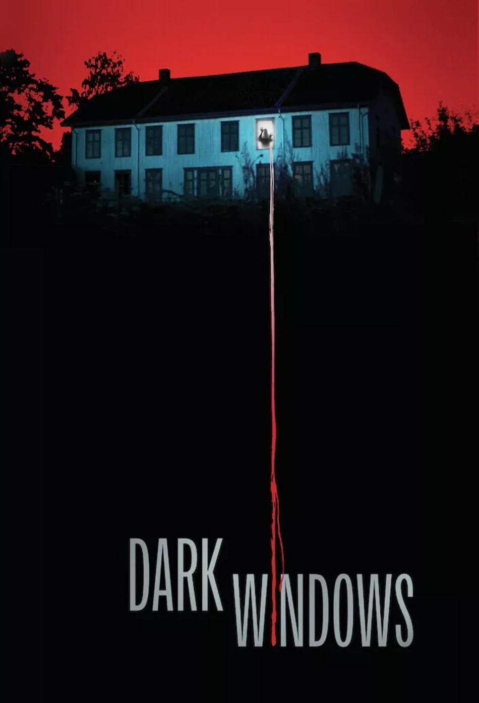 Dark Windows - (Dolby, AC-3) - [DVD]