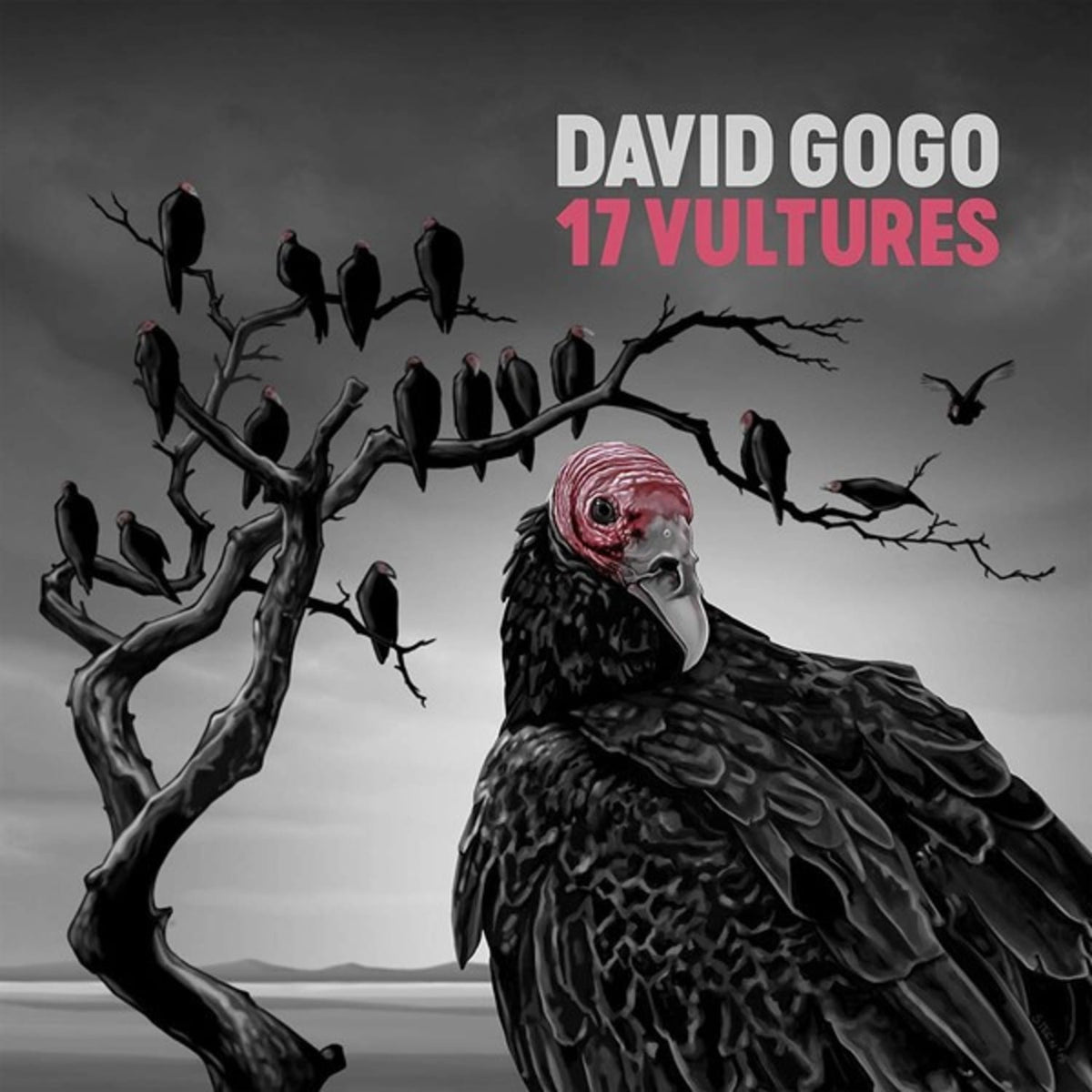 David Gogo - 17 Vultures - [Vinyl]