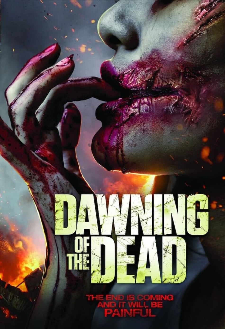 Dawning Of The Dead - [DVD]