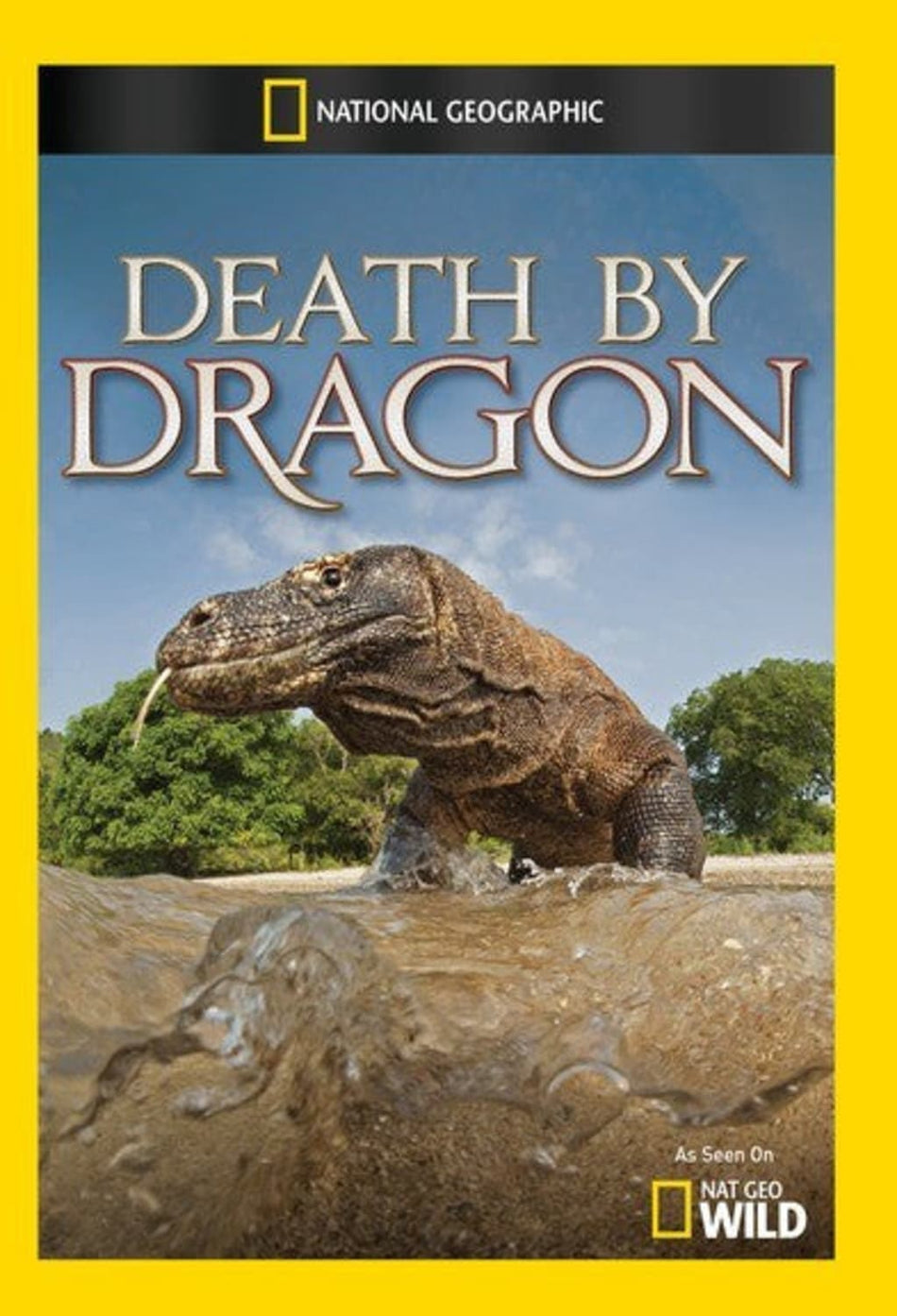 Death by Dragon - (NTSC Format) - [DVD]