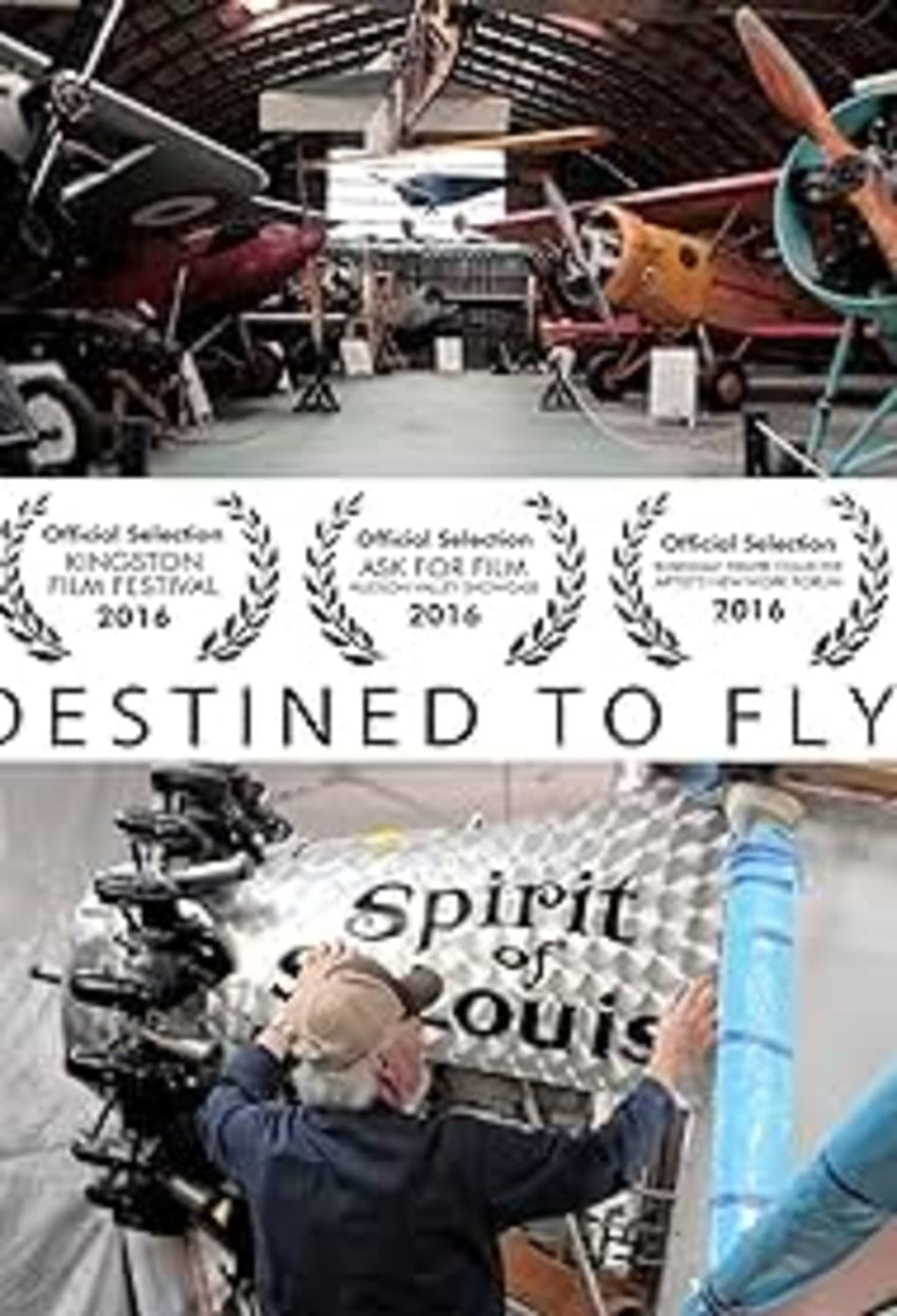 Destined To Fly - [DVD]