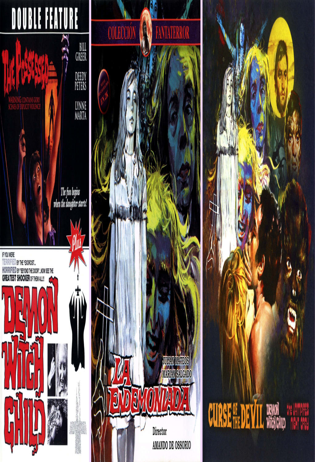 Devil's Flute - (Widescreen, Anamorphic, Mono Sound) - [DVD]