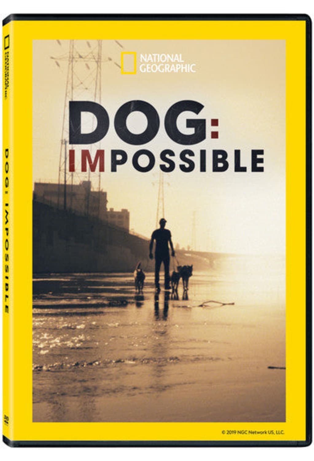 Dog: Impossible - (Widescreen, Dolby, AC-3, 2 Pack) - [DVD]