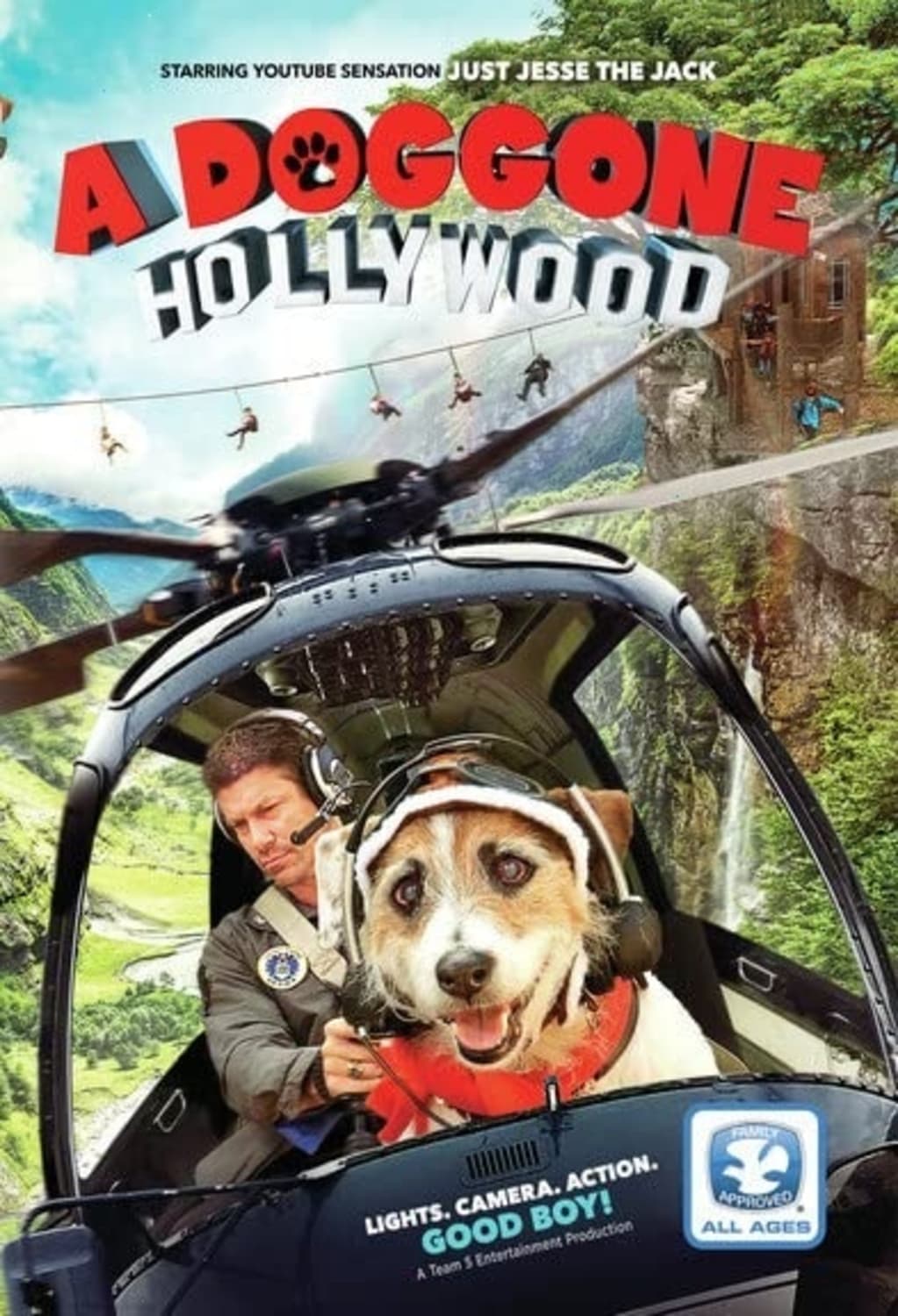 A Doggone Hollywood - [DVD]