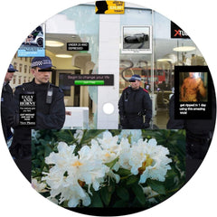 Jam City - Earthly Versions - [Vinyl]