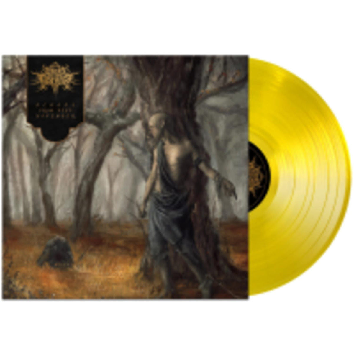 Fires in the Distance - Echoes From Deep November - (Clear Vinyl, Yellow) - [Vinyl]