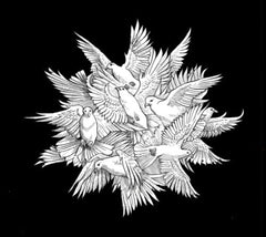 Fyrnask - Eldir Nott - (Digipack Packaging) - [CD]