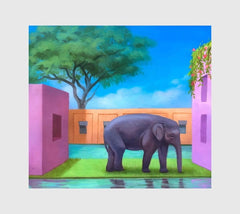 Korea Town Acid - Elephant In The Room - [CD]