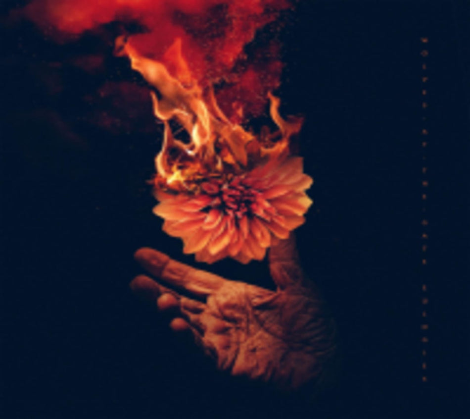 Wolves At The Gate - EULOGIES - [CD]