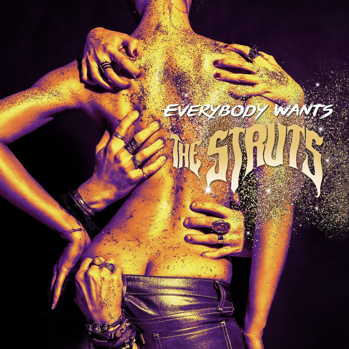 Struts - Everybody Wants - [Vinyl]