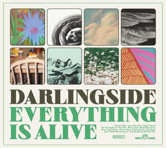Darlingside - Everything Is Alive - [CD]