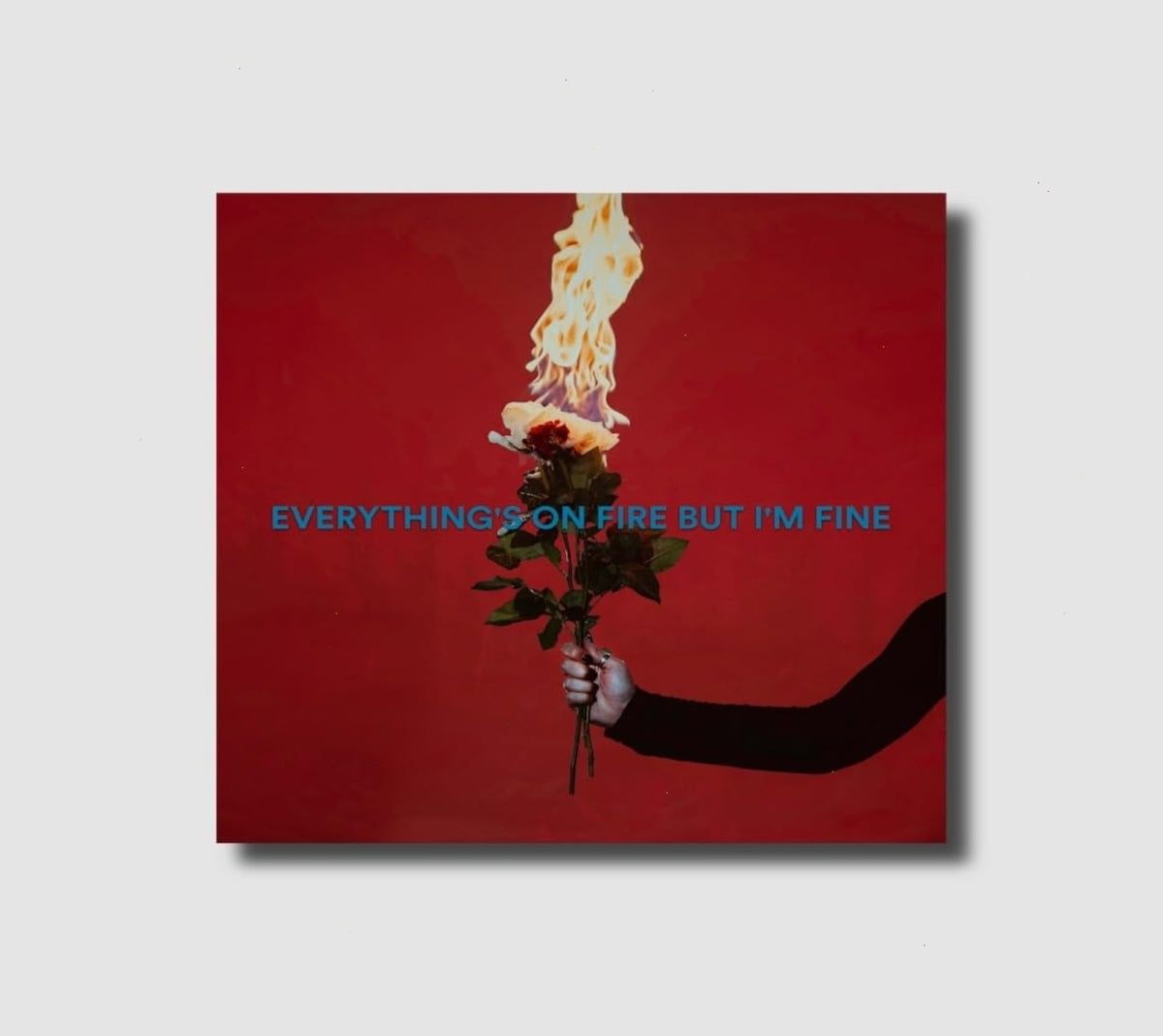 As December Falls - EVERYTHING'S ON FIRE BUT I'M FINE - [CD]