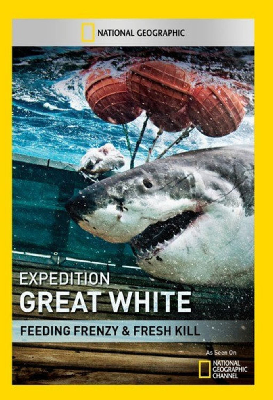 Expedition Great White: Feeding Frenzy - (NTSC Format) - [DVD]