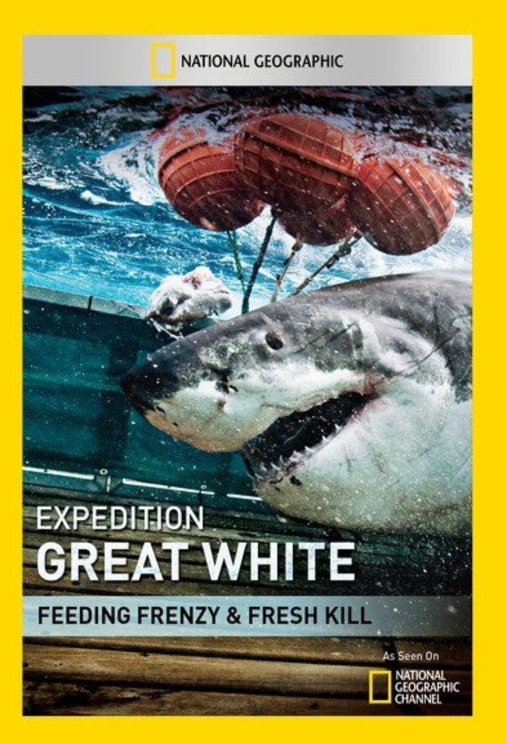 Expedition Great White: Feeding Frenzy - (NTSC Format) - [DVD]
